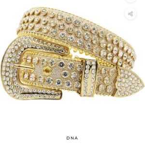 DNA BELT (CHAMPAGNE/CLEAR)